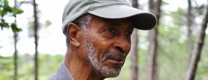 A John Green Slide Show - Beneath the Woodland Canopy: The Understory